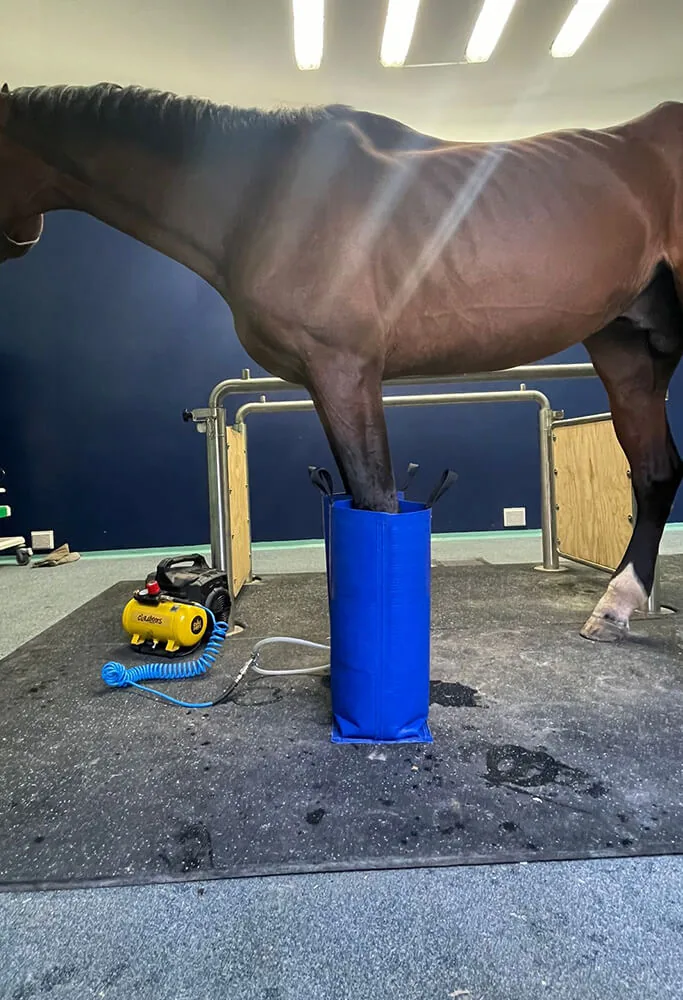 Curaboots alla clinica di Medicina Veterinaria dell'Università di Perugia